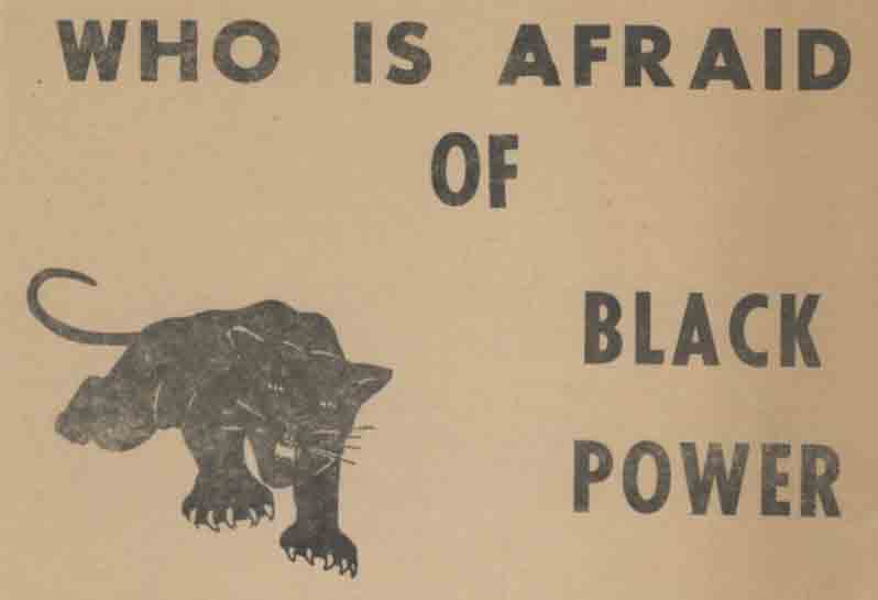 "Who Is Afraid of Black Power"